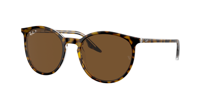 Ray Ban Ray In Brown