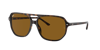 Ray Ban Ray In Brown