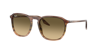 Ray Ban Ray In Brown Black