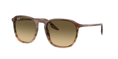 Ray Ban Ray In Brown Black