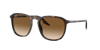 Ray Ban Rb2203 Sunglasses Havana Frame Brown Lenses 52-20 In Light Brown