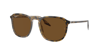 Ray Ban Ray In Brown