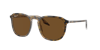 Ray Ban Ray In Brown