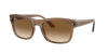 Ray Ban Ray In Light Brown