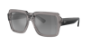 Ray Ban Ray In Silver,grey