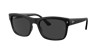 Ray Ban Ray In Black