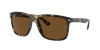 Ray Ban Ray In Brown