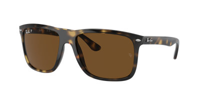 Ray Ban Ray In Brown