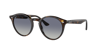 Ray Ban Ray In Light Grey,dark Blue