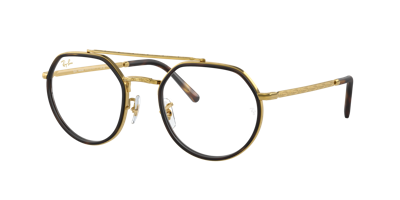 Ray Ban Ray In Clear,brown