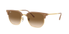 Ray Ban Ray In Light Brown