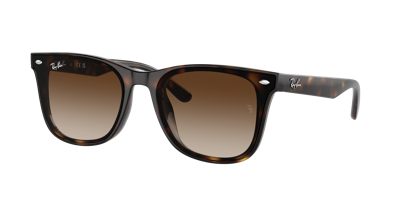 Ray Ban Ray In Brown