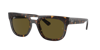 Ray Ban Ray In Dark Brown