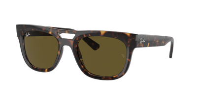 Ray Ban Ray In Dark Brown