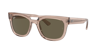 Ray Ban Ray In Brown