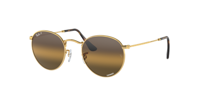 Ray Ban Ray In Silver,brown