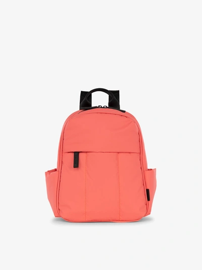 Calpak Luka Mini Backpack In Watermelon