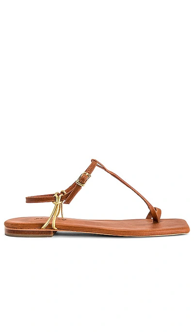 Johanna Ortiz Sun Downer Sandals In Wood Chocolate