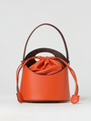 Etro Handbag  Woman In Orange