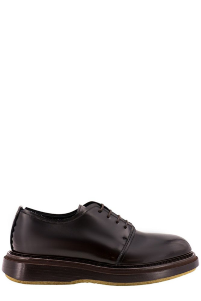 The Antipode Lace-up Shoe In Brown