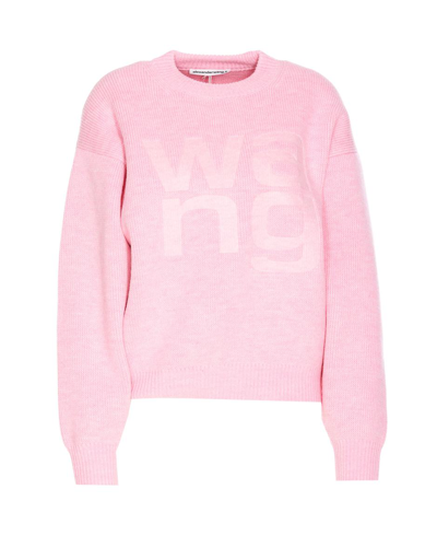 Alexander Wang Sweaters In Pink