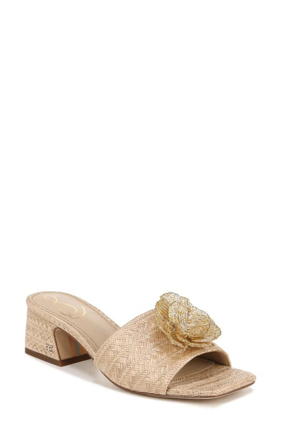 Sam Edelman Winsley Raffia Slide Sandal In Beige