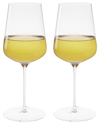 SPIEGELAU SPIEGELAU SPIEGELAU DEFINITION 19OZ UNIVERSAL GLASS (SET OF 2)