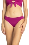 ROBIN PICCONE AVA BIKINI BOTTOMS