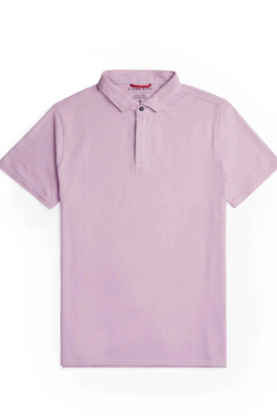 Stone Rose Solid Short Sleeve Polo In Lavender In Purple