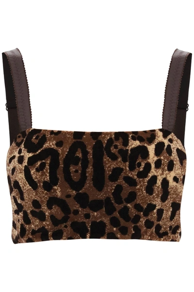 Dolce & Gabbana Cropped Leopard-jacquard Cotton-blend Chenille Top In Beige, Brown, Black