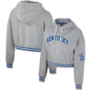 The Wild Collective Heather Gray Kentucky Wildcats Cropped Shimmer Pullover Hoodie In Heather Gray