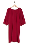 Renee C Balloon Sleeve Dress In Cherry