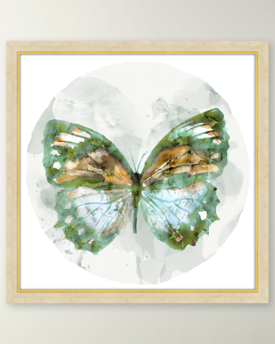 Ati Brunswick Butterfly 1 Giclee
