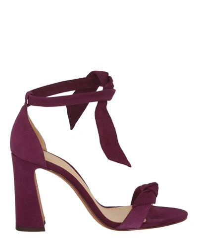 Alexandre Birman Clarita Curve High-heel Sandals In Purple