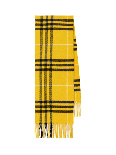 Burberry Scarves In Pear