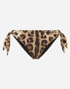 Dolce & Gabbana Leopard-print Bikini Bottoms In Animal Print