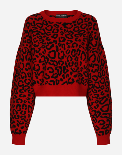 Dolce & Gabbana Cropped Wool Jumper With Leopard Inlay In Combined Colour