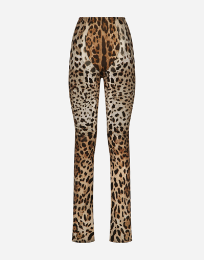 Dolce & Gabbana Leopard-print Marquisette Trousers In Multicolor