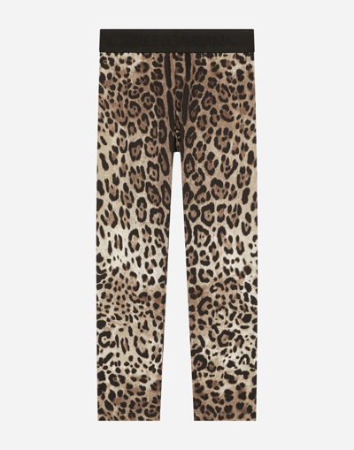 Dolce & Gabbana Kids' Leopard-print Interlock Leggings