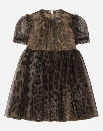 Dolce & Gabbana Leopard-print Tulle Midi Dress