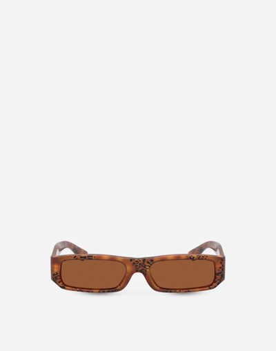 Dolce & Gabbana "mini Me" Sunglasses In Brown