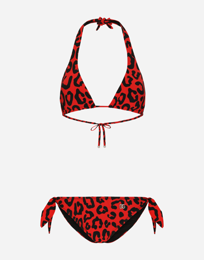 Dolce & Gabbana Leopard-print Padded Triangle Bikini In Red