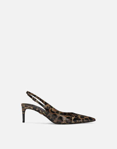Dolce & Gabbana Animalier Brown Calf Leather With Heel In Multi