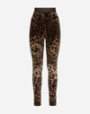 Dolce & Gabbana High Waist Leopard Print Cotton Blend Leggings In Multicolor