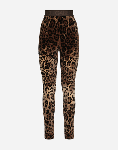 Dolce & Gabbana Chenille Leggings With Jacquard Leopard Design