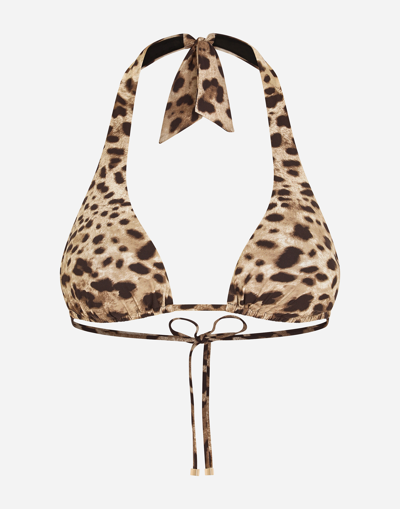 Dolce & Gabbana Leopard-print Padded Triangle Bikini Top