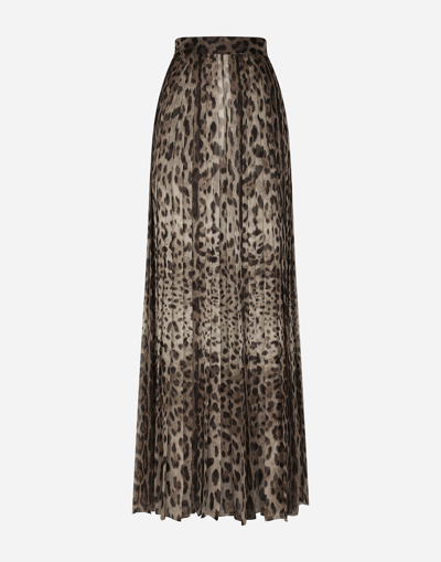 Dolce & Gabbana Leopard-print Chiffon Culottes