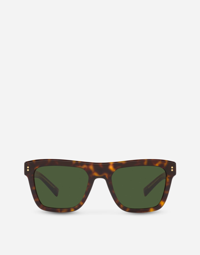 Dolce & Gabbana Domenico Sunglasses In Brown