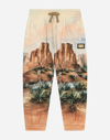 DOLCE & GABBANA COTTON JOGGING trousers WITH CANYON PRINT AND LOGO TAG