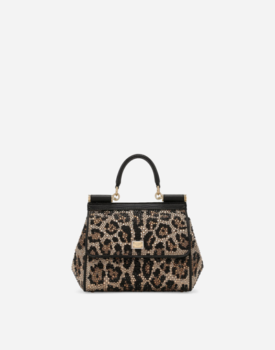 Dolce & Gabbana Medium Sicily Handbag In Brown